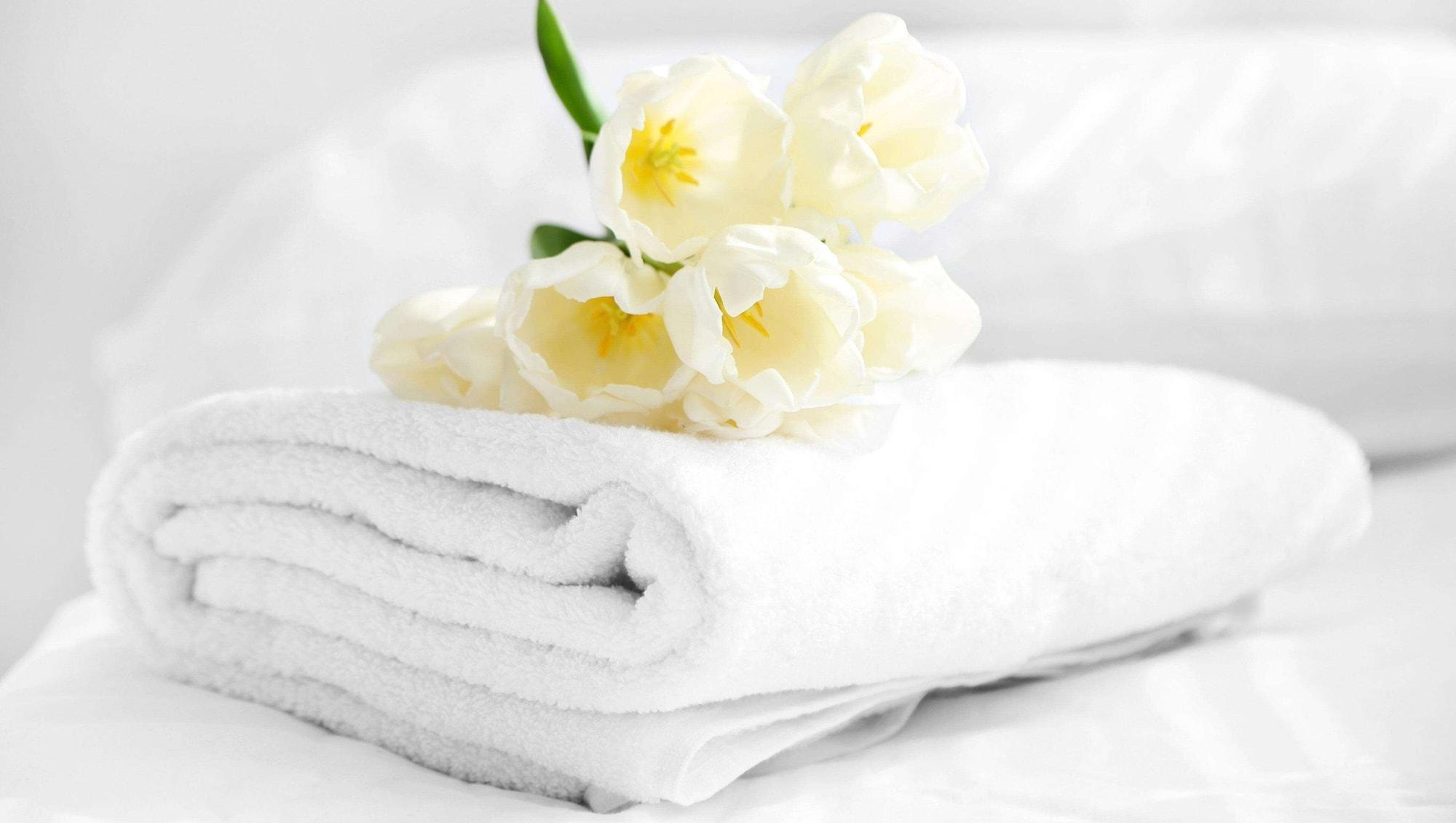 Magnuson Hotel Nashville North Goodlettsville Zewnętrze zdjęcie